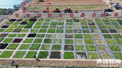 蘭州市榆中縣農業(yè)技術推廣中心獲評 全國五星