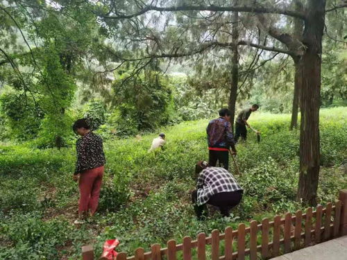 濟南市靈巖寺景區加強環境整治,提升景區旅游品質