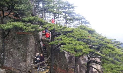 清明小長假第三天 黃山風景區(qū)優(yōu)化管理措施 游覽秩序井然