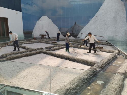 好客山東 百團(tuán)山東行——濱州無棣站活動啟動，園區(qū)管理服務(wù)協(xié)同助力