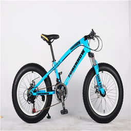 美麗行自行車產品 美麗行自行車產品圖片 美麗行自行車怎么樣 最新美麗行自行車產品展示
